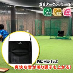 野球 デサント DESCENTE BASEBALL ジャイロスティック/投球練習