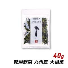 ������� ���Y ��B�Y �卪�t 40g ���X�`�̋� �݂��`�̋� �a���� �T���_ �u�ߕ� ����u�� �g�ǐH�i ���[���� ��������