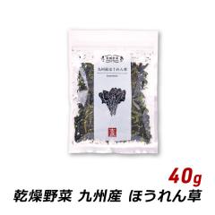 ������� ���Y ��B�Y �ق���� 40g ���Y ������� ���X�`�̋� �݂��`�̋� �a���� �T���_ �u�ߕ� ����u�� �g�ǐH�i ���[���� ��������