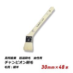 �`�����s�I������ 30mm 48�{�Z�b�g �����p ���\ ���� ���p�r �d�グ 240-14 ��������