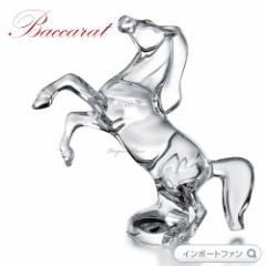 oJ ȂȂn NA NX^ 2102328 Baccarat Crystal Rearing Horse Clear Mtg v[g 