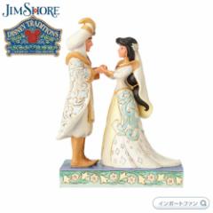 LAST1_ WVA WX~ AW EFfBO  ǂ AW fBYj[ 4056750 Jasmine and Aladdin Wedding Disney T
