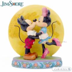 WVA ~bL[  ~j[ [Cg  LX  fBYj[ 6006208 Mickey and Minnie Mouse Magic and Moonlight Disney Ji