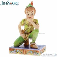 WVA s[^[Ep fBYj[gfBV u 4023531 Jim Shore Disney Traditions Childhood Champion Peter Pan Persona