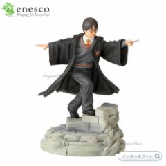 GlXR n[|b^[ ҂̐ 6003638 Enesco Wizarding World of HARRY POTTER Year One Mtg v[g 