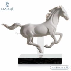 h Mbv h 01016954 LLADRO n