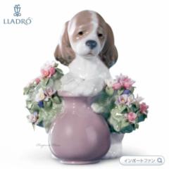 h ԂD  XpjG u 01006574 LLADRO Mtg v[g 