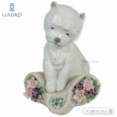 h q  [NVeA u 01008207 LLADRO Playful Character Mtg v[g 