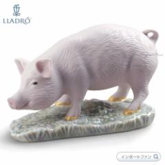 h \xRNV  u^  CmVV  u 01009120 LLADRO The Pig Mini Mtg v[g  