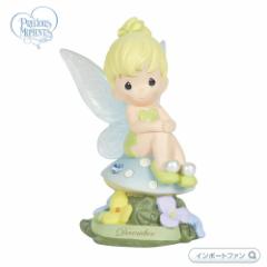 vVX[c s[^[p eBJ[ x 12 u[gp[Y d fBYj[ 113219 December Fairy As Tinker Bell, Resi