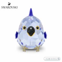 XtXL[ KvȂ̂͒ RSECR u[  5644815 Swarovski 