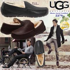  UGG AO ASCOT Leather AXRbg U[JV JWAV[Y 5379 ChAAEghA Mtg av[g ̓ 