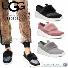 AO sR Xj[J[ 1101012 UGG PICO SNEAKER 