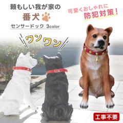 �� �u�� �� �K�[�f���I�[�i�����g �i���� ���L �{���������� ���ÃZ���T�[ ���m�� ���^ ���� ���A�� �������� �Č� �h�ƃZ���T�[ �� �C