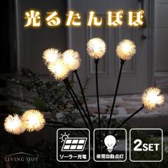 ����ۂە� �K�[�f�����C�g �\�[���[ ���O �Z�b�g �\�[���[���C�g �f�R���[�V���� �Ɩ� ���킢�� ������� ���� �� �Ԓd �K�[�f�j���O ��