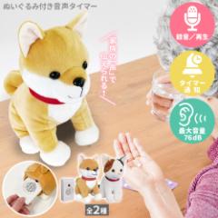 ���Ԃ���I�����点�Ƃ��΂� �Y����̖h�~�^�C�}�[ �ʂ�����ݕt�� �A���[�� �A���[�g �ʒm ��� �h�V�̓� �Z�[�t�e�B �w���X�P�A