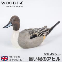 �A�q�� ������ �� ���Ђ� �I�u�W�F �I�[�i�����g �K�[�f���I�[�i�����g �u�� �K�[�f�j���O ���A�� �A�j�}�� ���� ���킢�� �y�b�g �l�` 