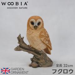 �t�N���E �ӂ��낤 �� �� �I�u�W�F �I�[�i�����g �K�[�f���I�[�i�����g �u�� �K�[�f�j���O ���A�� �A�j�}�� ���� ���킢�� �y�b�g �l�` 