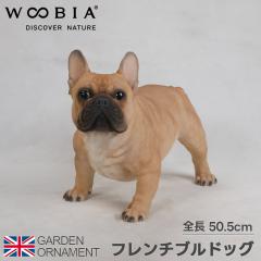 �t�����`�u���h�b�O �u���h�b�O �� �I�u�W�F �I�[�i�����g �K�[�f���I�[�i�����g �u�� �K�[�f�j���O ���A�� �A�j�}�� ���� ���킢�� �y�b