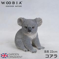 �R�A�� ������ �I�u�W�F �I�[�i�����g �K�[�f���I�[�i�����g �u�� �K�[�f�j���O ���A�� �A�j�}�� ���� ���킢�� �y�b�g �l�` �E�[�r�A wo