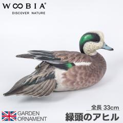 �A�q�� ���Ђ� �Ɗ� �I�u�W�F �I�[�i�����g �K�[�f���I�[�i�����g �u�� �K�[�f�j���O ���A�� �A�j�}�� ���� ���킢�� �y�b�g �l�` �E�[�r