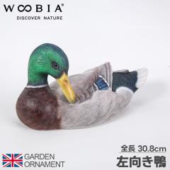 �y�󒍐��Y�z�� ���� �J�� �� �I�u�W�F �I�[�i�����g �K�[�f���I�[�i�����g �u�� �K�[�f�j���O ���A�� �A�j�}�� ���� ���킢�� �y�b�g �l