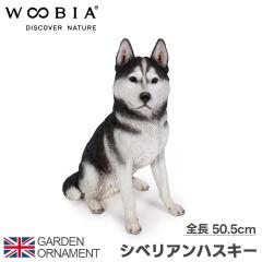 �V�x���A���n�X�L�[ �n�X�L�[ �� ���� �I�u�W�F �I�[�i�����g �K�[�f���I�[�i�����g �u�� �K�[�f�j���O ���A�� �A�j�}�� ���� ���킢�� 