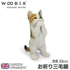 �L �˂� ���F�� �肢�� ���^ �I�[�i�����g �K�[�f���I�[�i�����g �u�� �K�[�f�j���O �u�������A�� ���I �A�j�}�� ���� ���킢�� �I�u�W�F