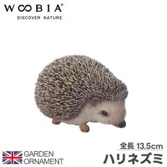 �n���l�Y�~ �͂�˂��� �l�Y�~ �˂��� �I�u�W�F �I�[�i�����g �K�[�f���I�[�i�����g �u�� �K�[�f�j���O ���A�� �A�j�}�� ���� ���킢�� 