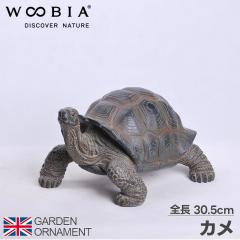 �J�� �T �I�[�i�����g �K�[�f���I�[�i�����g �u�� �K�[�f�j���O �u���� ���| ���A�� ���I �A�j�}�� ���� ���킢�� �I�u�W�F �l�` ����