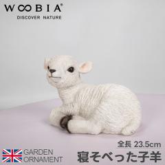 �Q���ׂ����q�r �q�r �r �Ђ� �I�[�i�����g �K�[�f���I�[�i�����g �u�� �K�[�f�j���O �u���� ���| ���A�� ���I �A�j�}�� ���� ���킢��