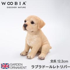 ���u���h�[�� ���g���o�[ �� ���� �e�� �I�u�W�F �I�[�i�����g �K�[�f���I�[�i�����g �u�� �K�[�f�j���O ���A�� �A�j�}�� ���� ���킢�� 