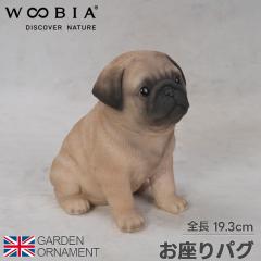 ������p�O �p�O ���� �e�� �I�u�W�F �I�[�i�����g �K�[�f���I�[�i�����g �u�� �K�[�f�j���O ���A�� �A�j�}�� ���� ���킢�� �y�b�g �l�`