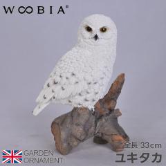 ���L�^�J �I�[�i�����g �K�[�f���I�[�i�����g �u�� �K�[�f�j���O �䂫���� �u���� ���| ���A�� ���I �A�j�}�� ���� ���킢�� �I�u�W�F �l