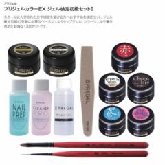 ジェルネイル検定 初級 指定品 おもしろ プリジェル オススメ