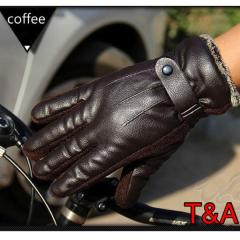 1 ��܁@�����Y�@�v��܁@���U�[�O���[�u�@�����Y�@���f�B�[�X �v �h�� �h���@�c�[�����O�@�o�C�N�@�ۉ��@�u���E��