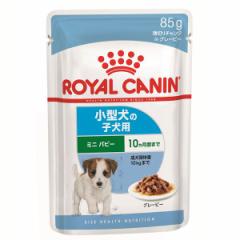 CJi RCJ SHN-WET ~j ps[ 85g t[h WET^Cv A~pE` ^p EGbg  ROYALCANIN 85g hbOt[