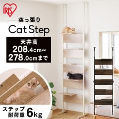 Lbg^[ ˂ 5i ACXI[} * CATS-68 X   ς RpNg L ^[ L^[ ˂ LbgXe