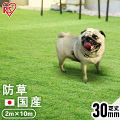 lH [ 2m~10m ŏ30mm Y { lH AhlH RP-30210 ACXI[} ACX\[R[ ӂӂ h G