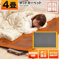 Lifon SJC3015-WBJ ブラウン 日本製 広電 [フローリング調 ホット