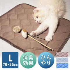 ybgpЂ⊴}bg LTCY uPbg 􂦂 ėp ڐG⊴ 17YL200Z55 ybg ΍ Ђ N[ ybg}bg y