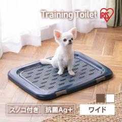  gC { gCg[ Ch 63.5cm ACXI[} XmRt t`h~ h~ ӂR ybggC gC