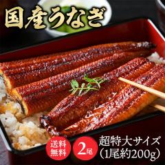 �y2���z����V�i��200g/���j Tokka [����s��] ���Ȃ� ���ΏĂ� �V���� �Ⓚ 400g �ڗ��� ���I ��㒆�������s�� �y�p ���Ȃ� ���ΏĂ� 