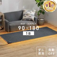 ホットカーペット 1畳 本体 90×180cm TEKNOS ホットカーペット HC-IR100 電気カーペット 電気マット カ