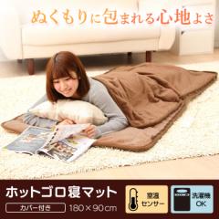 �z�b�g�S���Q�}�b�g �J�o�[�t�� MM-K18CT MORITA �������� �z�b�g�}�b�g �z�b�g�J�[�y�b�g ����Q�}�b�g ��l�p �ЂƂ�p ���������� �g