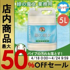 ΂̖ h[  ΂̖ h[ 5L Ɩp V ~}XN[PA 5000ml   GR pCvN[i[ 