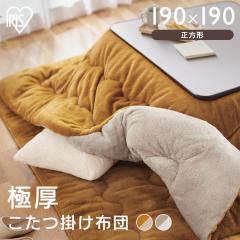 �����|���z�c KKB-R1919 �}�X�^�[�h/���C�g�u���E�� �O���[�W��/�A�C�{���[ �S4�F �����|���z�c ������ �|�z�c �����` �R�^�c �x�� 