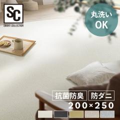 �����r���[���e�Ń|�C���g�Ҍ��� �C���e���A ���O �\�t�g�p�C�����O�@200�~250 ORG-SP2025 �S5�F �C���e���A ���O �J�[�y�b�g �}�b�g ��