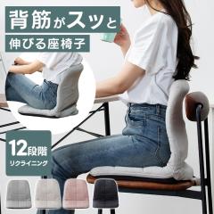 �p���T�|�[�g�`�F�A �֎q ���֎q �w�� ���� ���N���C�j���O 12�i�K �y�� �R���p�N�g �܂肽���� S���J�[�u �w�؂��L�т� �u�������w�؃T