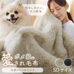 �ѕz ���[�g���� �Z�~�_�u�� �ӂ�ӂ� ���[�g���� 2�����킹�ѕz SD �ѕz ���[�g���� �Z�~�_�u�� �ӂ�ӂ� ��������
